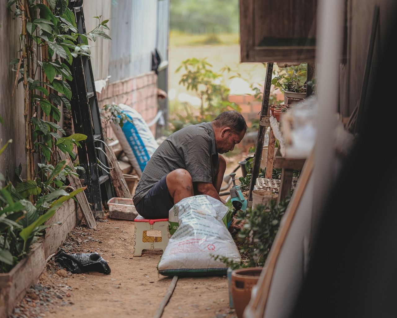 découvrez les principes et techniques de la permaculture urbaine pour transformer les petits espaces en jardins productifs, durables et écologiques en milieu citadin.