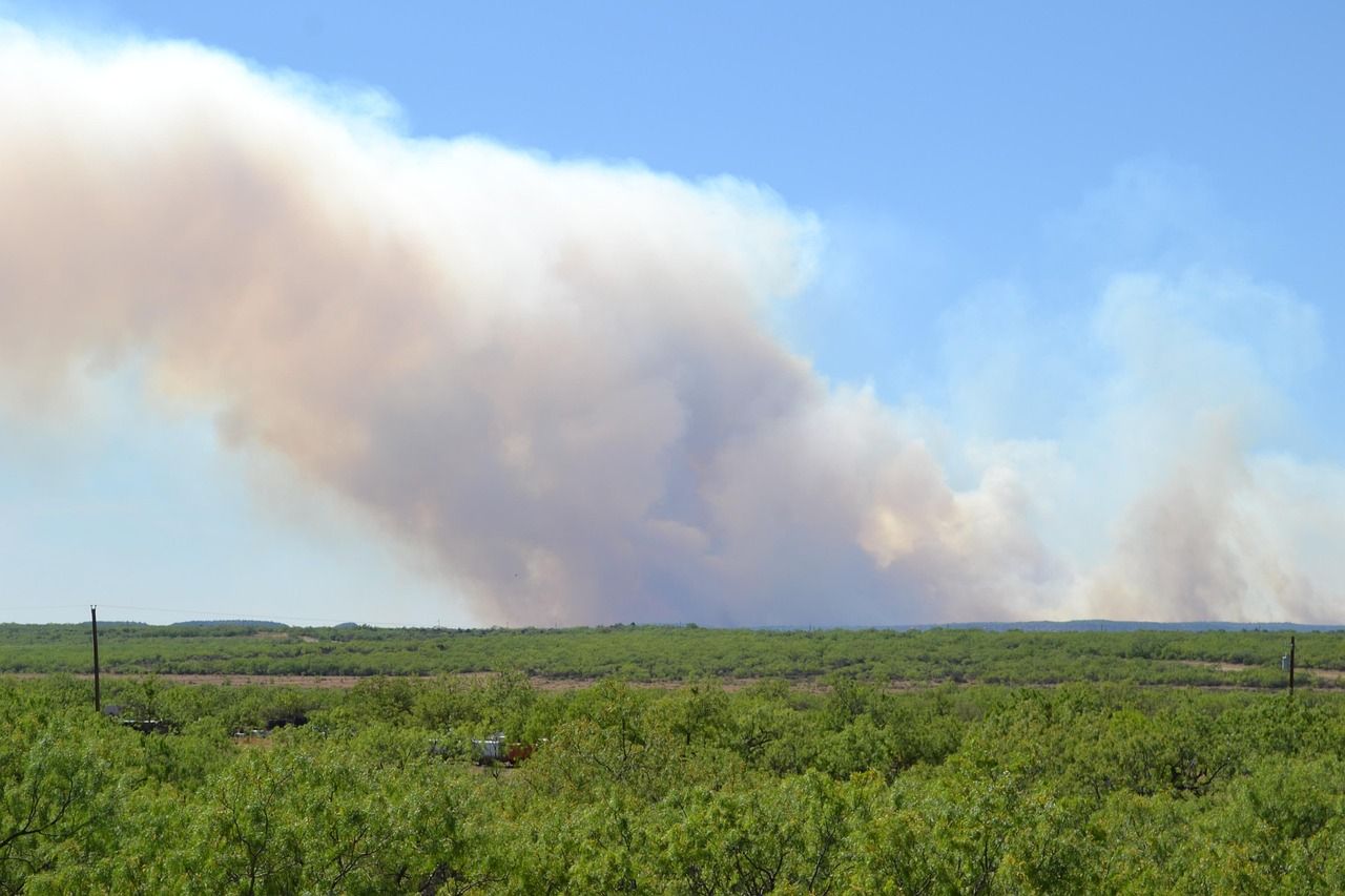 découvrez les causes, les impacts et les mesures de prévention des feux de forêt pour mieux comprendre et agir face à ce phénomène naturel dévastateur.
