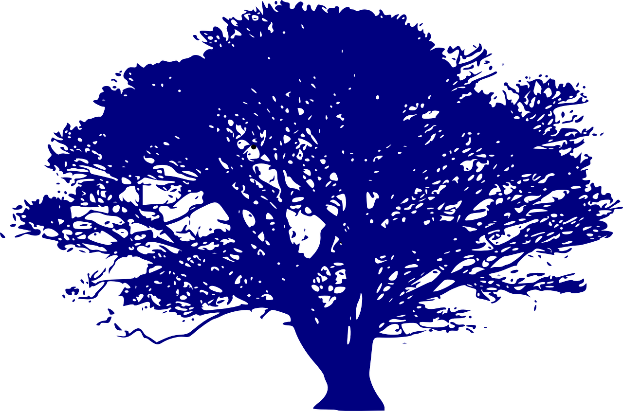 Ressources naturelles : enjeux et perspectives pour un développement durable