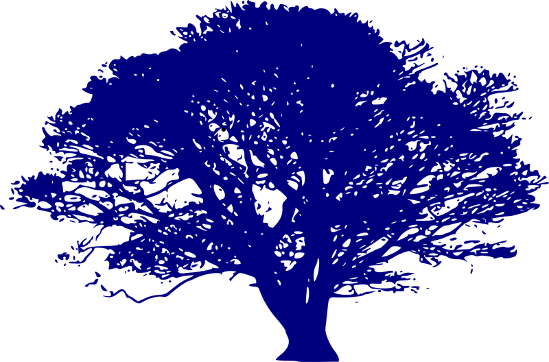Ressources naturelles : enjeux et perspectives pour un développement durable