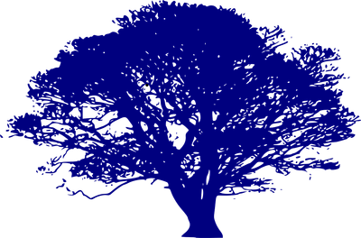 Ressources naturelles : enjeux et perspectives pour un développement durable