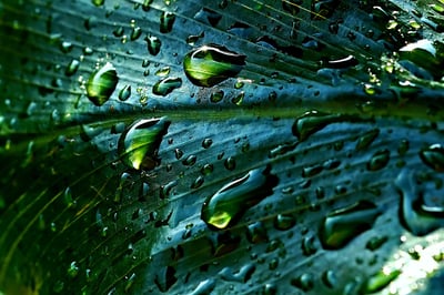 idées pour offrir aux élèves des expériences inoubliables à l’occasion de la Journée de la Terre