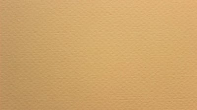 Culture écologique : comprendre son impact sur notre quotidien