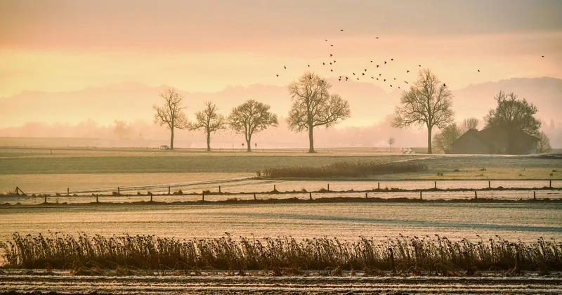 Routes et distances : ce qui bouge vraiment