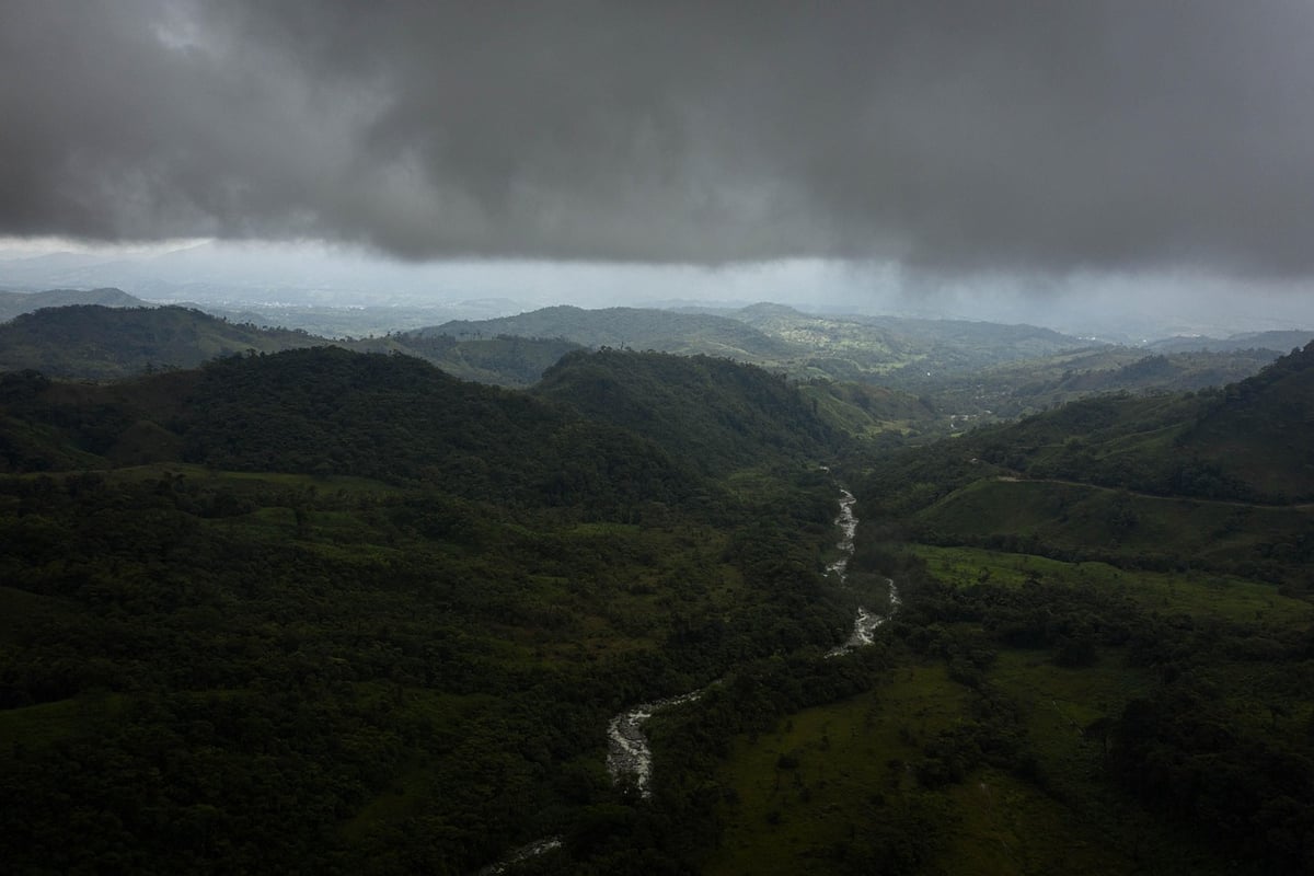 L’Amazonie : une zone privilégiée pour la biodiversité et la régulation climatique