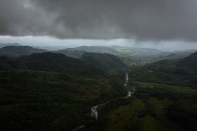 L’Amazonie : une zone privilégiée pour la biodiversité et la régulation climatique