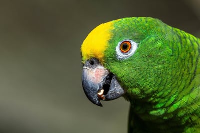 L’avenir de l’Amazonie entre les mains des jeunes autochtones : Vers une autonomie énergétique responsable