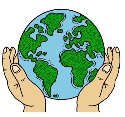 Service d’écologie : Comment choisir la solution adaptée pour votre entreprise