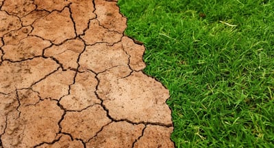 Lutte contre la désertification : Solutions innovantes pour préserver nos terres