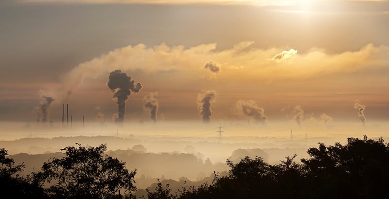 Soutien aux ONG environnementales : comment les aider à préserver notre planète