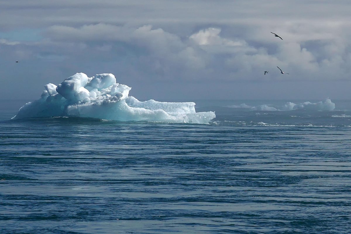 Changement climatique : les clés de la résilience face aux défis environnementaux