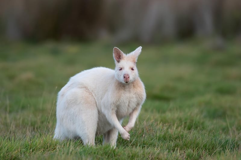 Comprendre la variation naturelle du climat face aux défis du changement climatique