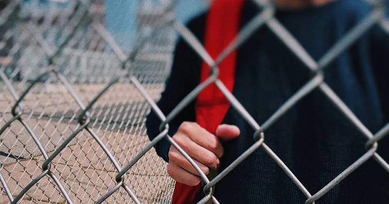 Comment végétaliser une cour d'école ?