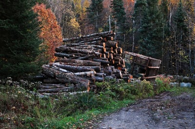 L’interaction entre la déforestation et le climat
