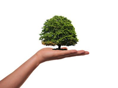 Sensibilisation écologique : comprendre l’importance de préserver notre planète