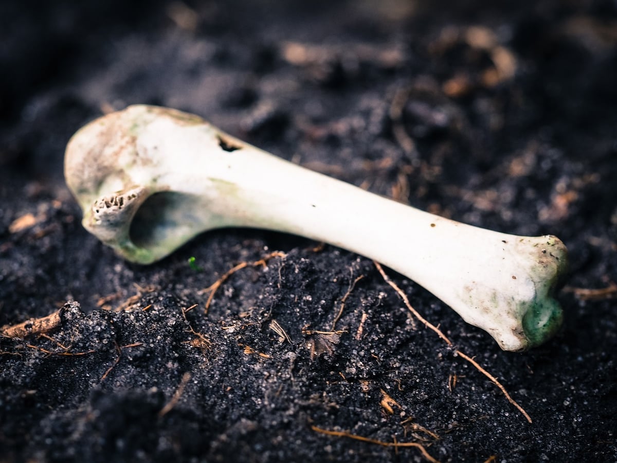 État des lieux de la conscience environnementale en France : Le Baromètre 2024