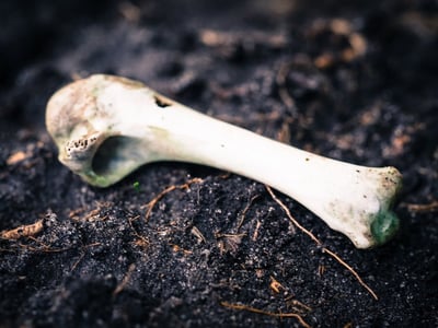 État des lieux de la conscience environnementale en France : Le Baromètre 2024