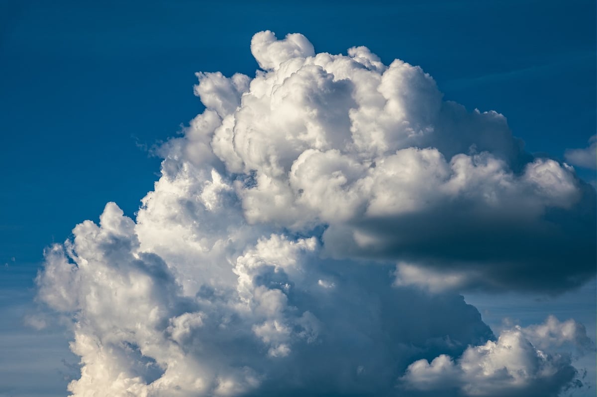 Plan d’action climat : 5 étapes essentielles pour un avenir durable