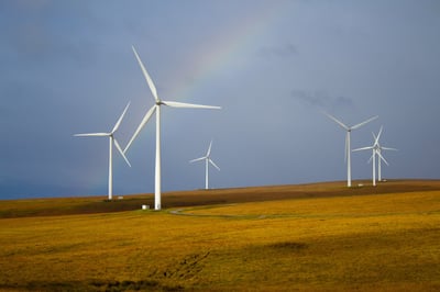 Les matériaux écologiques pour des rénovations durables