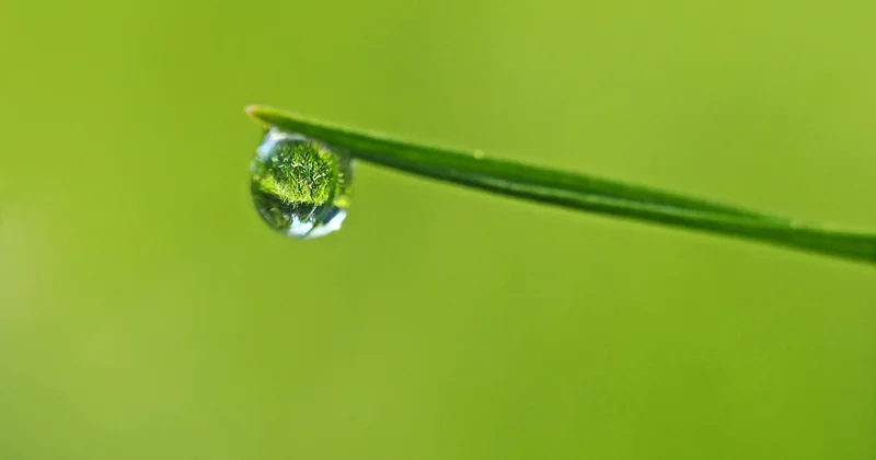 Est-il interdit de stocker l'eau de pluie en France ?