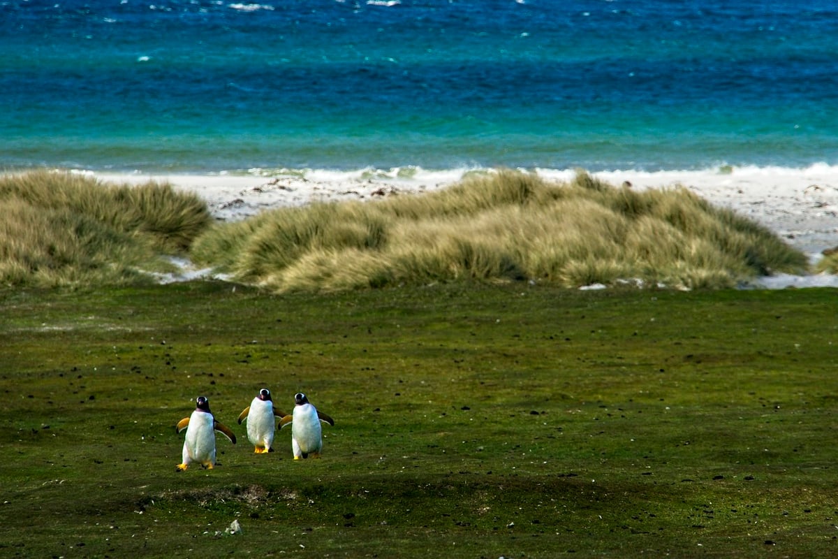 Habitats naturels : découvrez leur importance pour la biodiversité