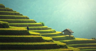 mode éthique durable : comment s’habiller responsable en 2025 ?