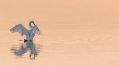 Réduire sa consommation d’eau : astuces et conseils