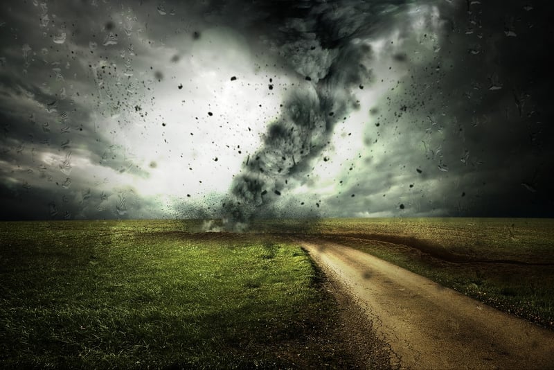 Changement climatique mondial : comprendre ses impacts et solutions