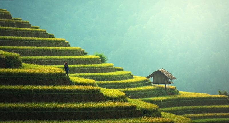 Technologie verte : Révolutionner l’agriculture pour un avenir durable