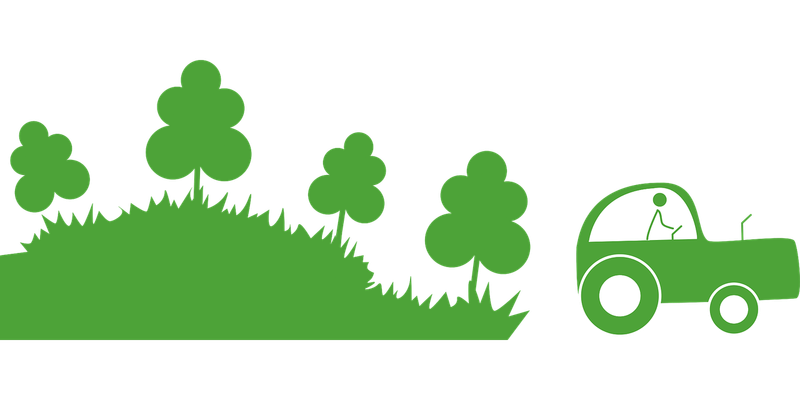 Systèmes agroforestiers : une solution durable pour l’agriculture moderne