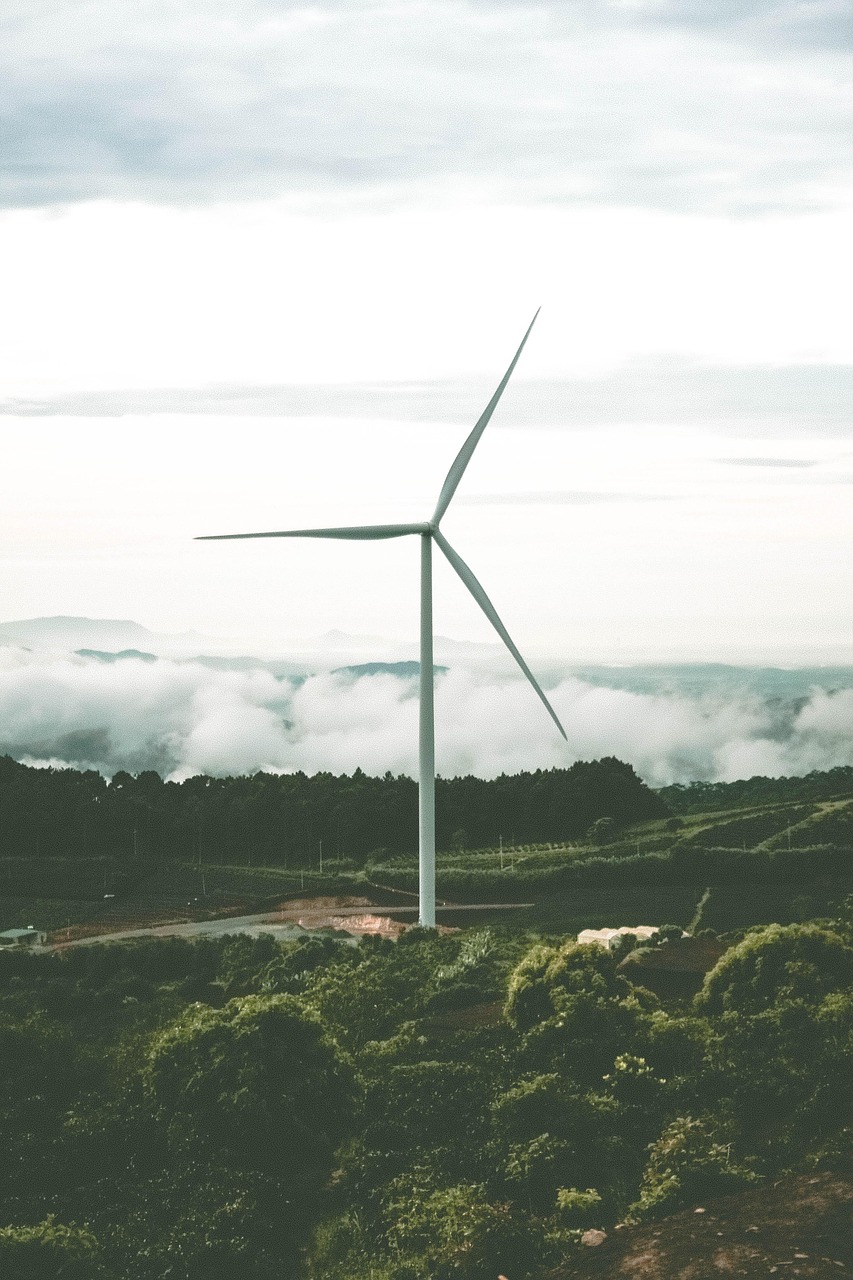 Le rôle de la technologie dans les énergies renouvelables