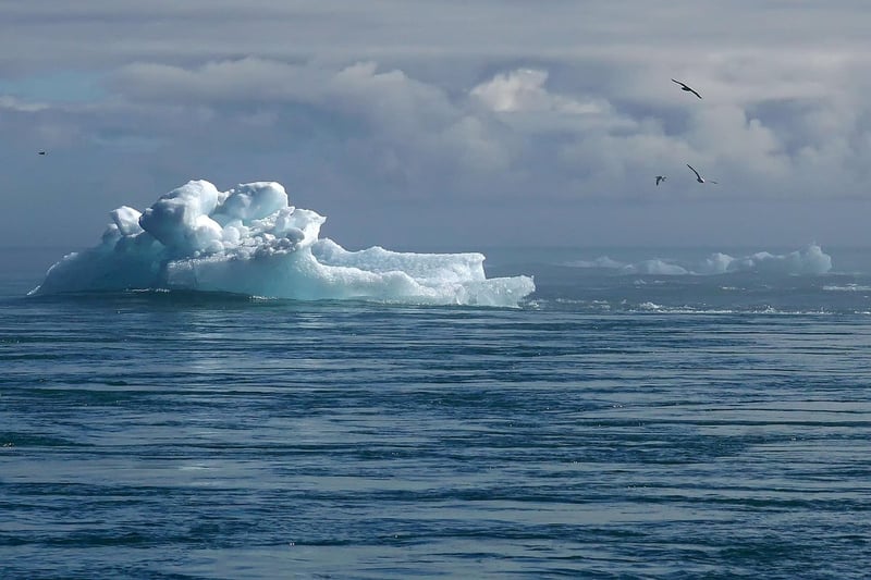 Changement Climatique : Avantages, Inconvénients, Débats et Arguments sur le Réchauffement Planétaire et l’Activisme Écologique
