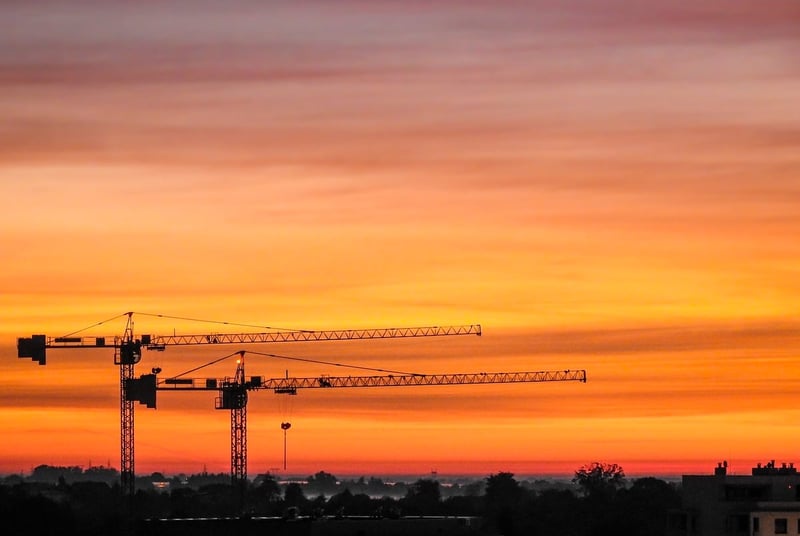 L’urbanisation et ses effets sur la biodiversité et le climat