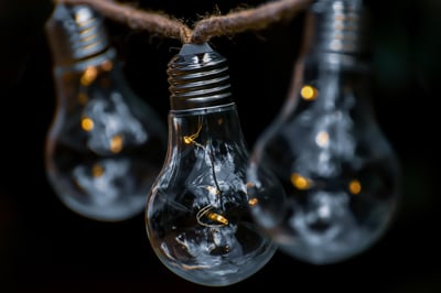 Trois innovations de l’IA au service de la protection et de la restauration de la nature