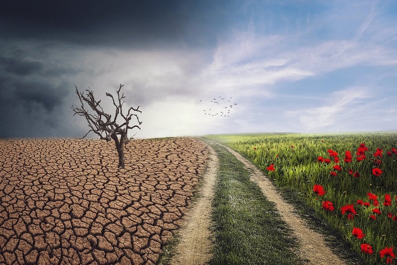 Réchauffement climatique : impacts et solutions pour un avenir durable