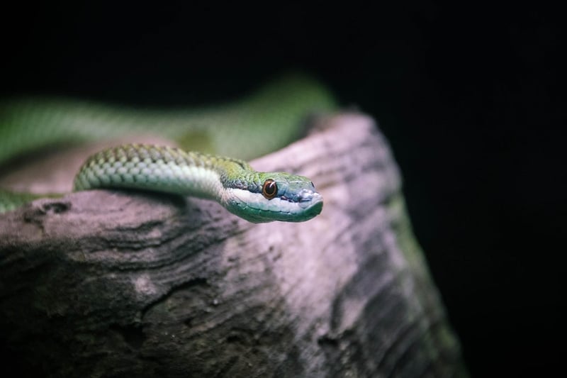 Les habitats naturels à protéger
