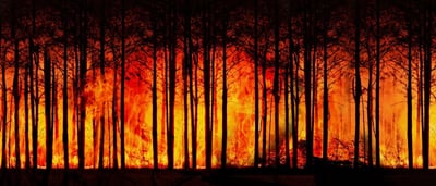 Le réchauffement climatique : Définition, Origines, Impacts, Solutions et Faits Essentiels