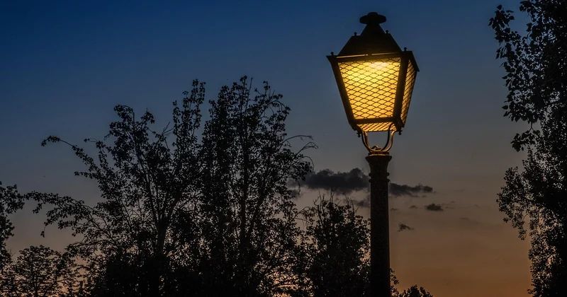 Adapter la ville à la chaleur : ce qui marche vraiment (et ce qui coûte juste cher)