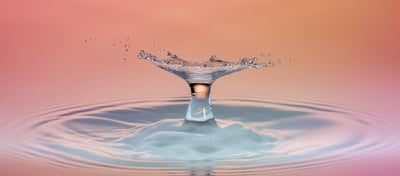 Comprendre les impacts du changement environnemental sur notre quotidien