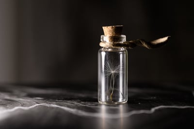 Préservation de l’eau : étapes essentielles pour protéger cette ressource précieuse