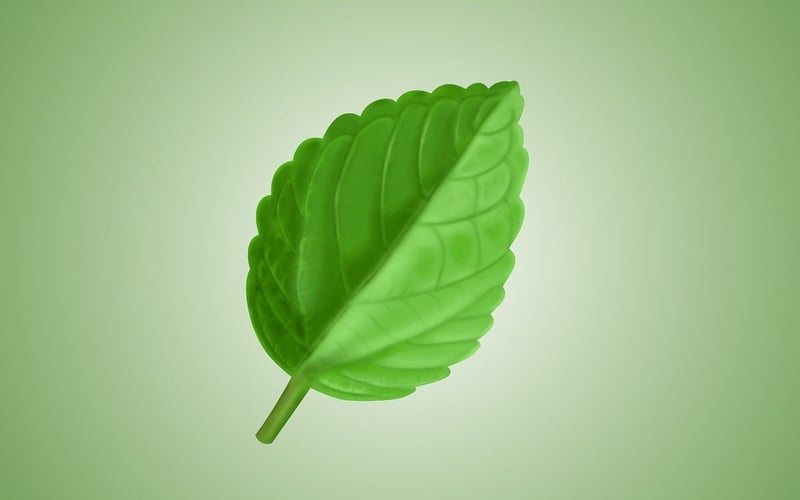 Mobilier écologique : une sélection durable pour votre intérieur