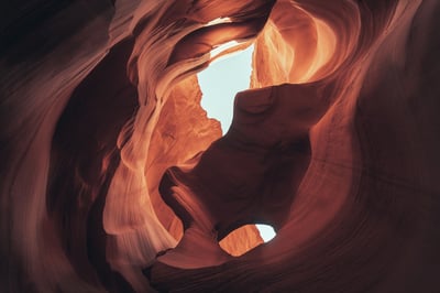 Greenpeace analyse les ambitions de l’Arizona : “Un accord rétrograde et dépassé”