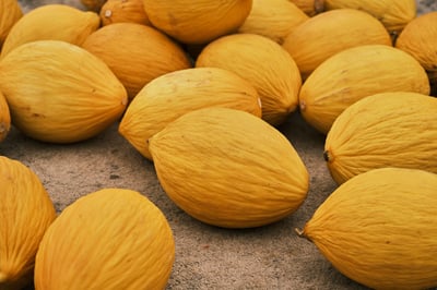 acheter local selon les saisons : pourquoi privilégier les produits de saison en 2025 ?