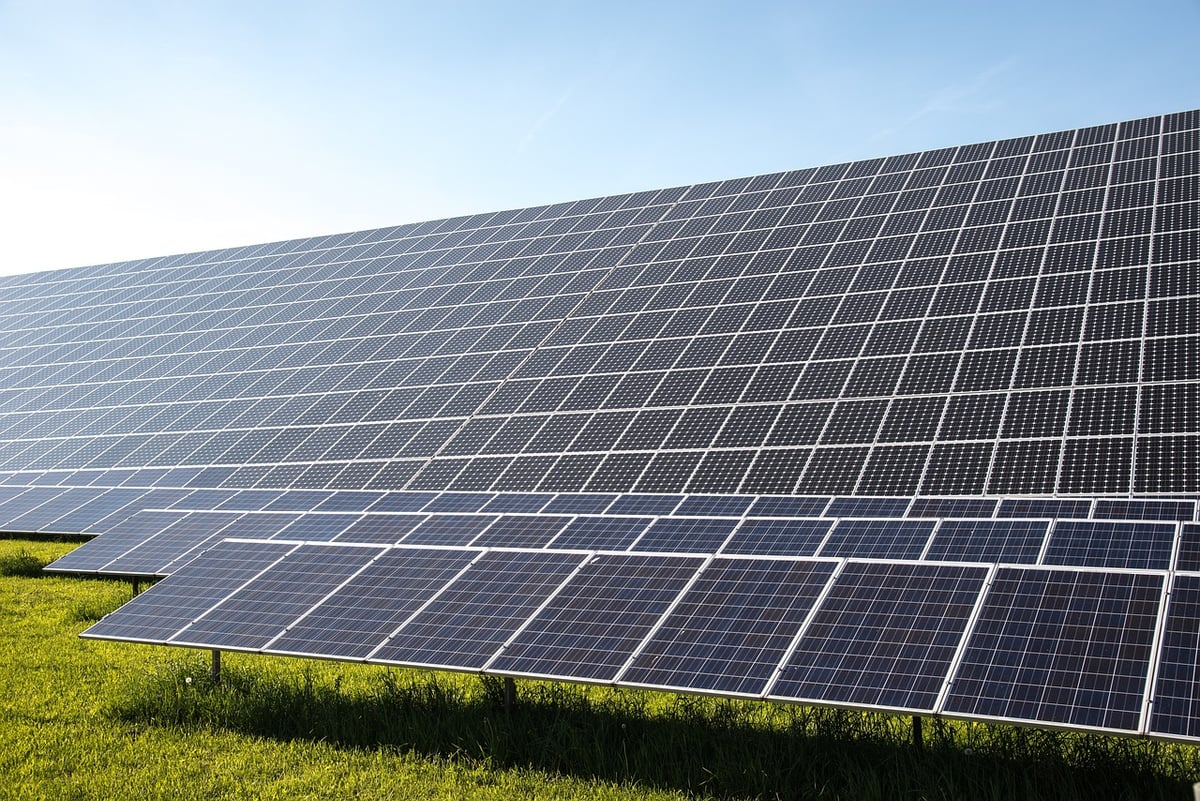 Adopter la transition écologique au quotidien : gestes simples et impact concret