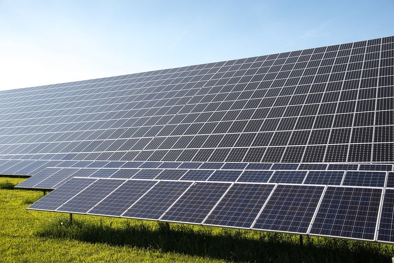 Adopter la transition écologique au quotidien : gestes simples et impact concret