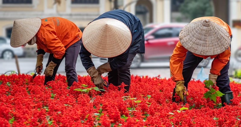 Biodiversité urbaine : les solutions portées par la jeunesse