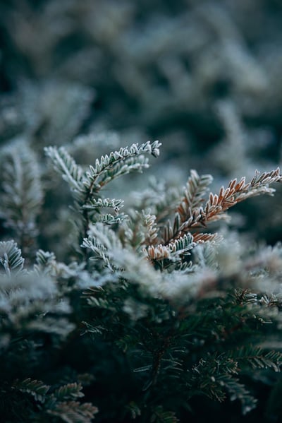 Politiques climatiques : l’importance d’une législation efficace et juste