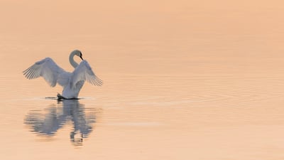 Comment économiser l’eau dans votre quotidien