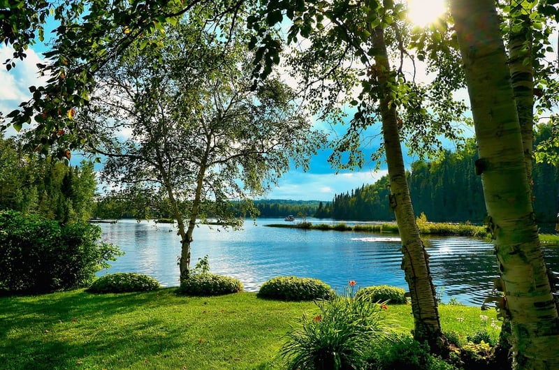 Biodiversité terrestre : enjeux et solutions pour un avenir durable