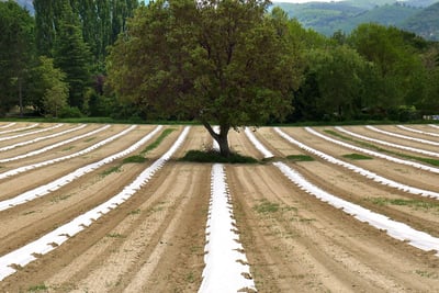 Agroécologie : Une approche durable pour la agriculture moderne
